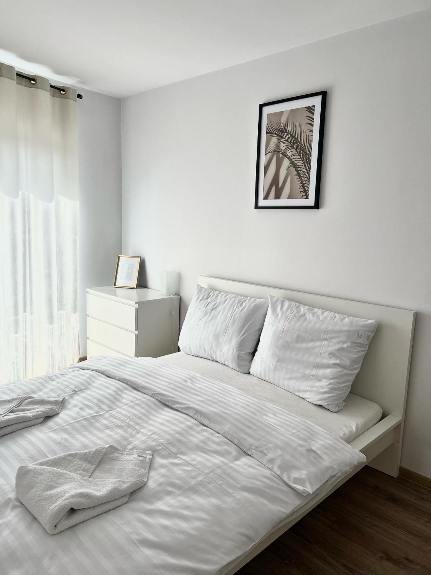 Zielone Apartamenty Katowice 霍茹夫 外观 照片